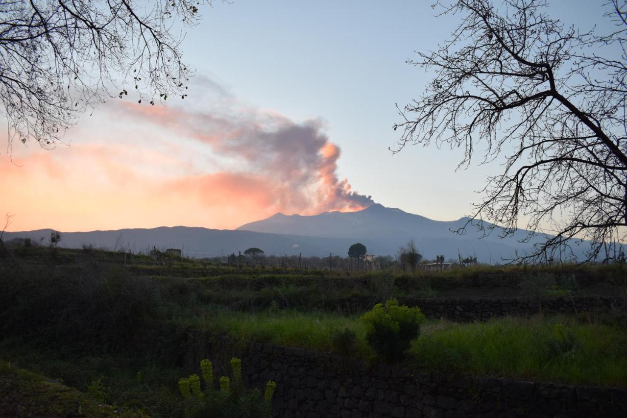 サンタ・ヴェネリーナ Etna Tra Le Querceヴィラ エクステリア 写真