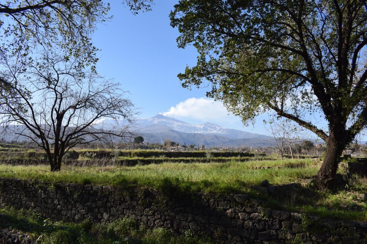 サンタ・ヴェネリーナ Etna Tra Le Querceヴィラ エクステリア 写真